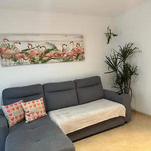 Parrot's House Lloret de Mar